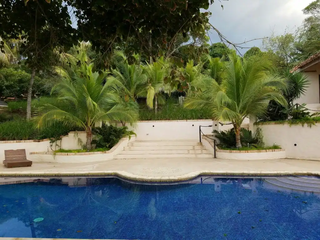 Lush tropical landscape with a white staircase leading to a backyard pool area surrounded by palm trees and greenery. Perfect for a custom-designed outdoor pool and garden oasis.