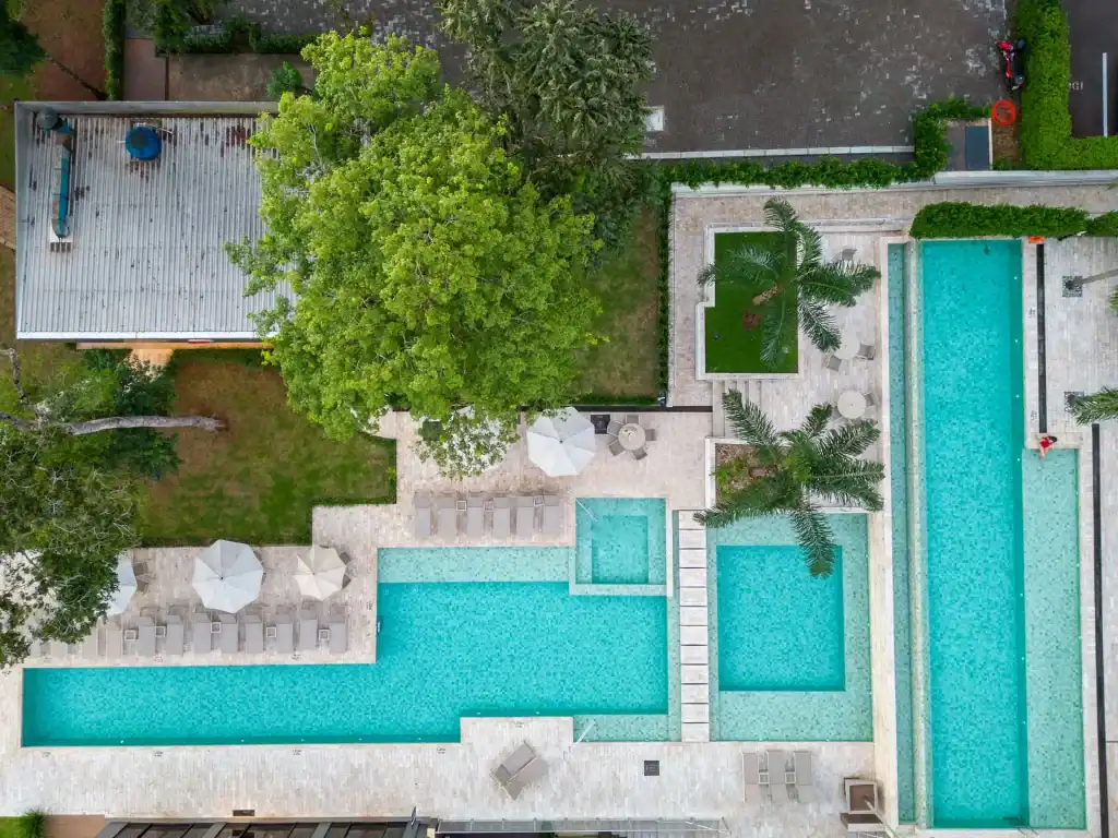 Luxurious backyard pool area featuring multiple swimming pools, lush greenery, and palm trees, perfect for outdoor relaxation and entertainment.