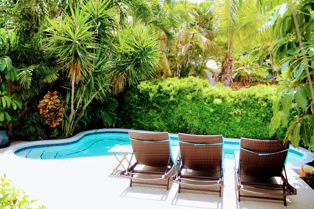 Lush tropical garden with vibrant green plants surrounds a serene backyard pool with three brown lounge chairs for relaxing.