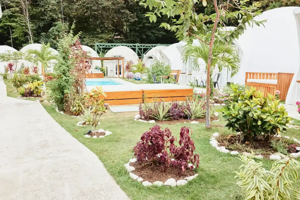 Vibrant garden with lush plants, manicured lawn, stylish wooden accents, and a secluded pool area, showcasing a beautiful backyard designed for relaxation and outdoor living.
