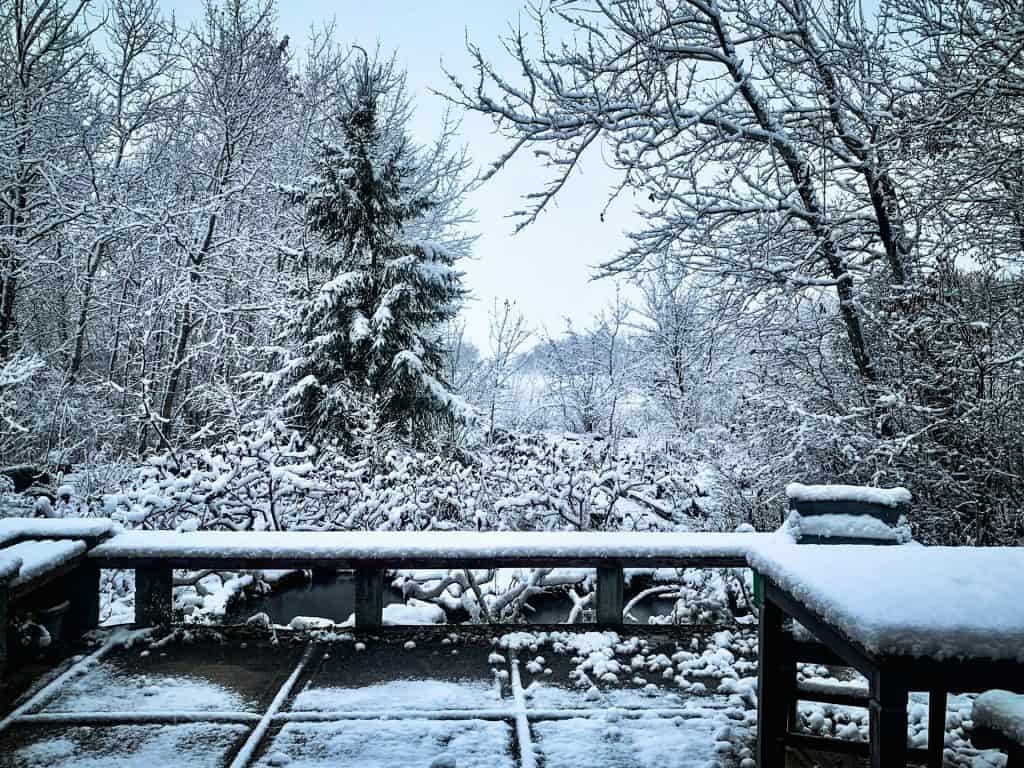 Snow-laden evergreen and deciduous trees create a peaceful winter landscape behind a wooden deck with a pond.