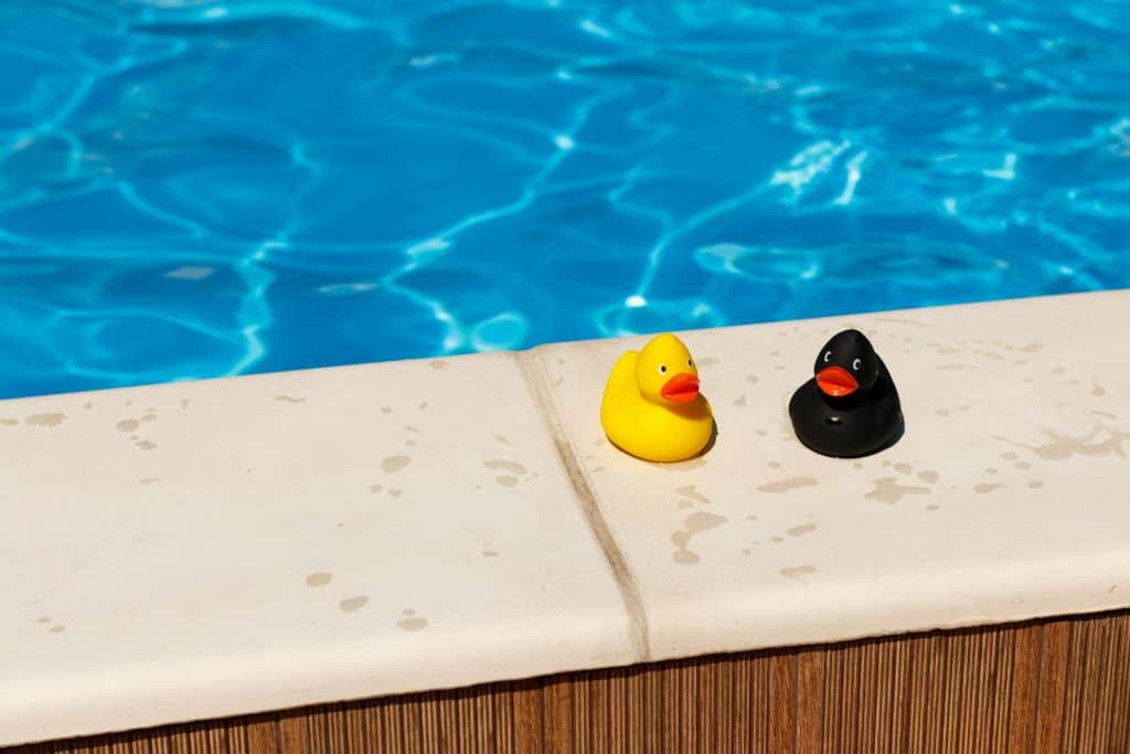 Bright yellow and black rubber duckies by poolside, creating a fun and inviting summer vibe with crystal-clear water in the background.