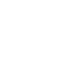 duplessis white logo