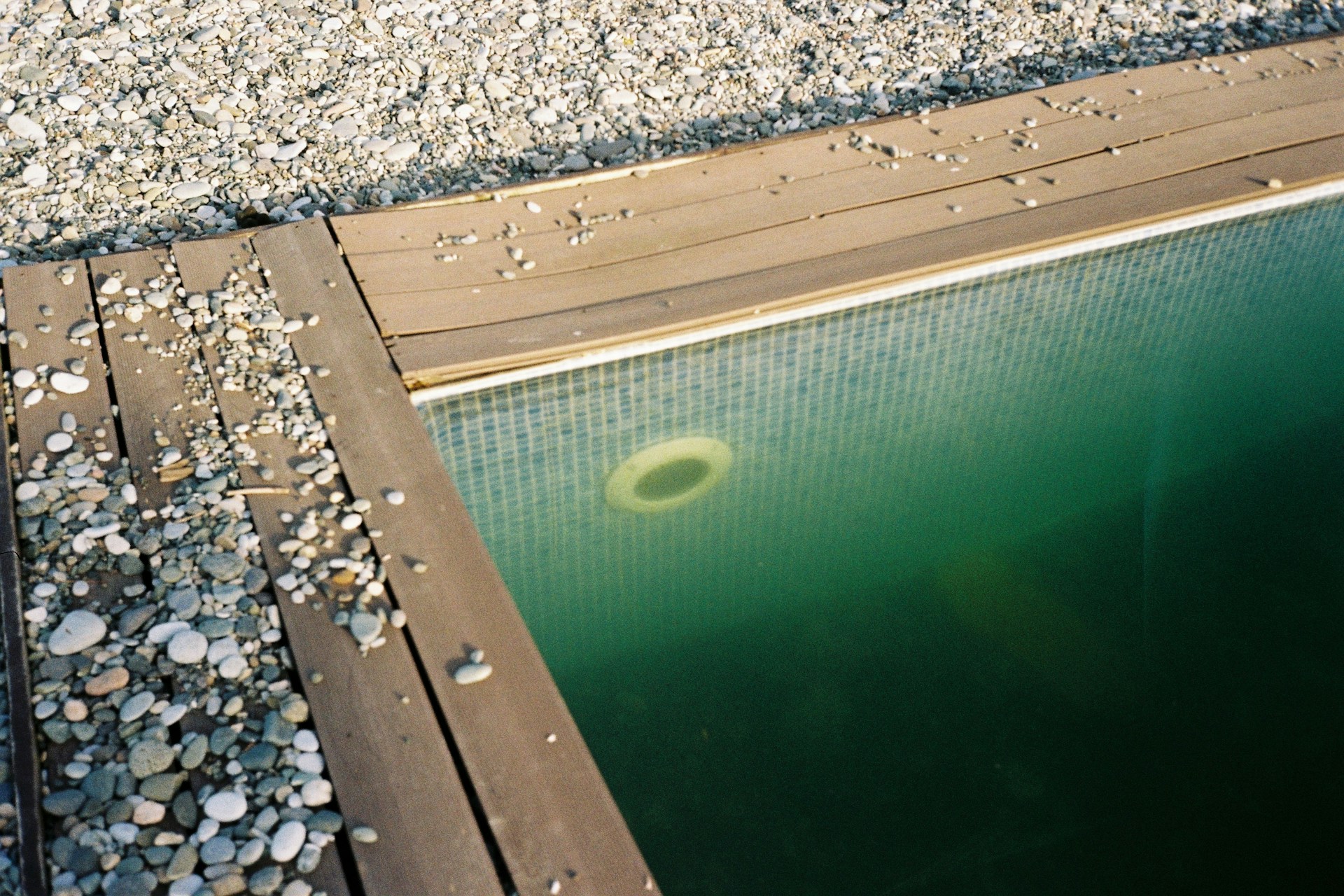 swimming pool with green water