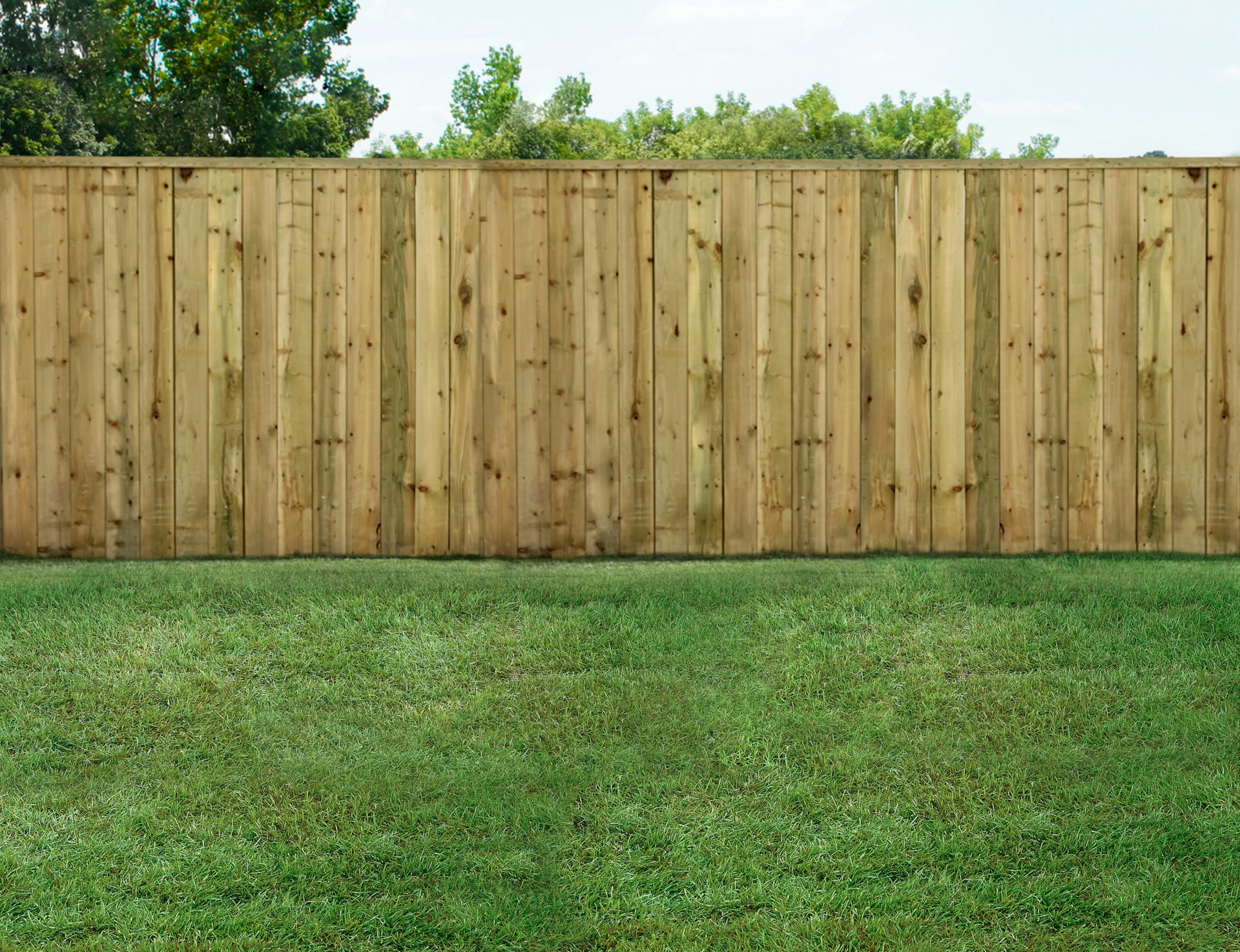 house fence