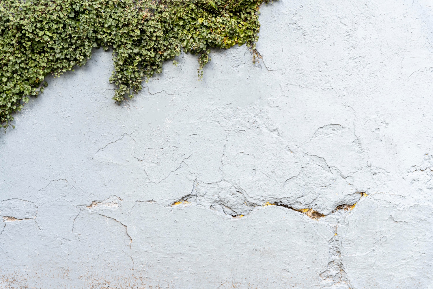 patio cracking